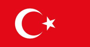 codecores-language-flag